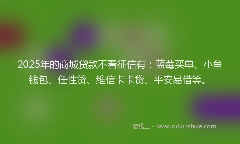 2025年的商城贷款不看征信有：蓝莓买单、小鱼钱包、任性贷、维信卡卡贷、平安易借等。