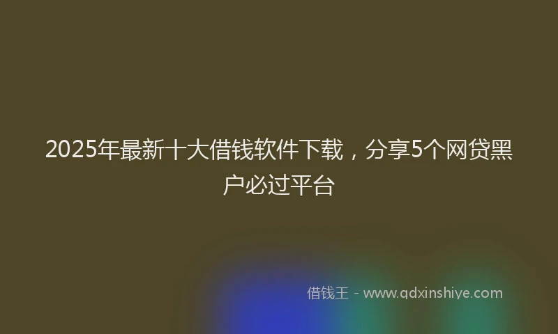 2025年最新十大借钱软件下载，分享5个网贷黑户必过平台