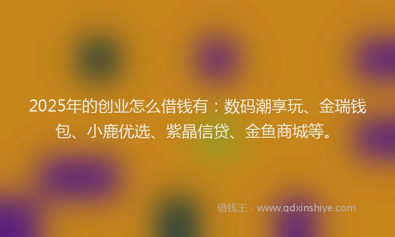 2025年的创业怎么借钱有：数码潮享玩、金瑞钱包、小鹿优选、紫晶信贷、金鱼商城等。