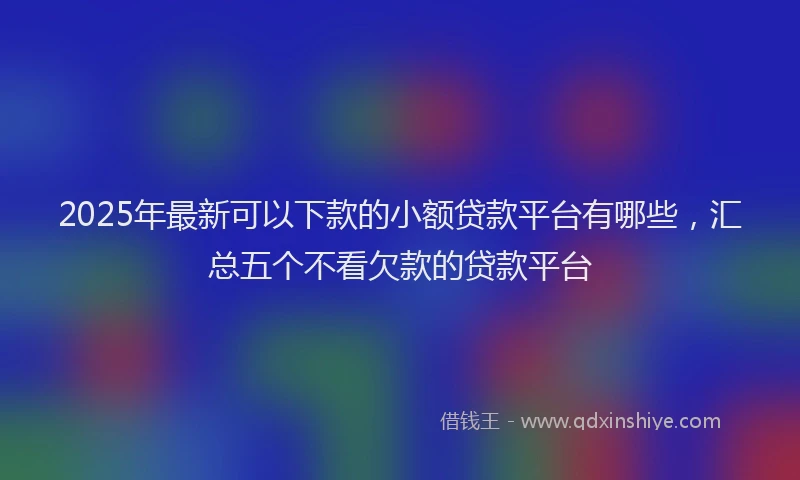 2025年最新可以下款的小额贷款平台有哪些，汇总五个不看欠款的贷款平台