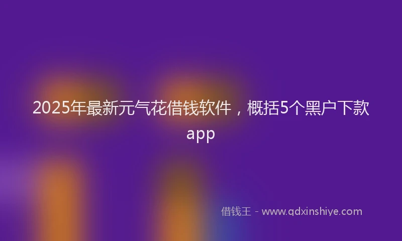 2025年最新元气花借钱软件，概括5个黑户下款app