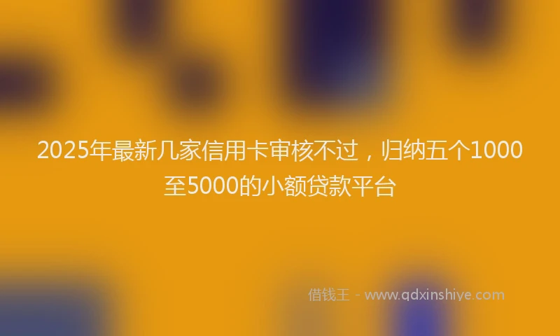 2025年最新几家信用卡审核不过，归纳五个1000至5000的小额贷款平台