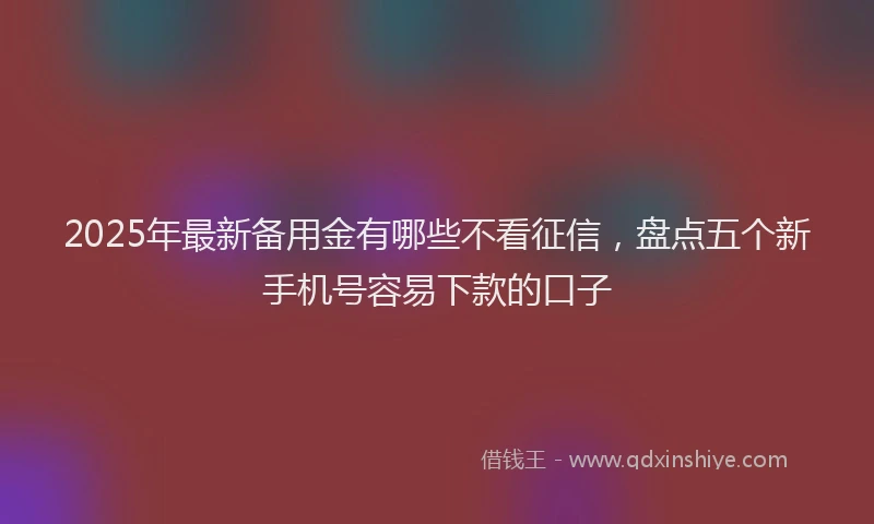 2025年最新备用金有哪些不看征信，盘点五个新手机号容易下款的口子