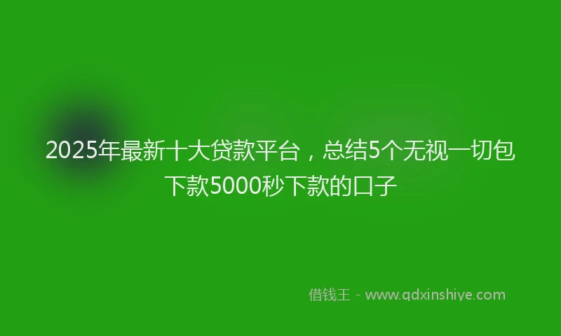 2025年最新十大贷款平台，总结5个无视一切包下款5000秒下款的口子