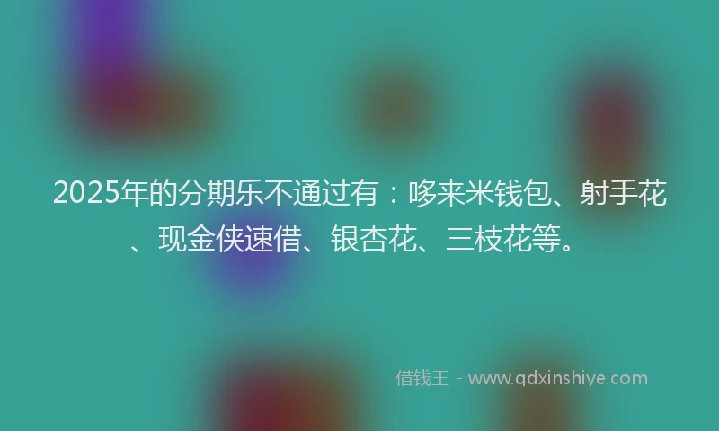2025年的分期乐不通过有：哆来米钱包、射手花、现金侠速借、银杏花、三枝花等。