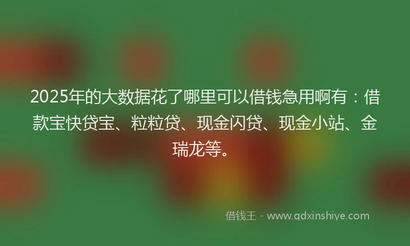 2025年的大数据花了哪里可以借钱急用啊有：借款宝快贷宝、粒粒贷、现金闪贷、现金小站、金瑞龙等。