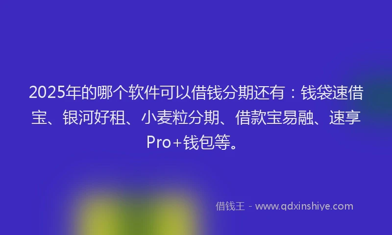 2025年的哪个软件可以借钱分期还有：钱袋速借宝、银河好租、小麦粒分期、借款宝易融、速享Pro+钱包等。