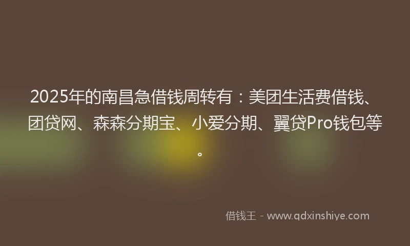 2025年的南昌急借钱周转有：美团生活费借钱、团贷网、森森分期宝、小爱分期、翼贷Pro钱包等。
