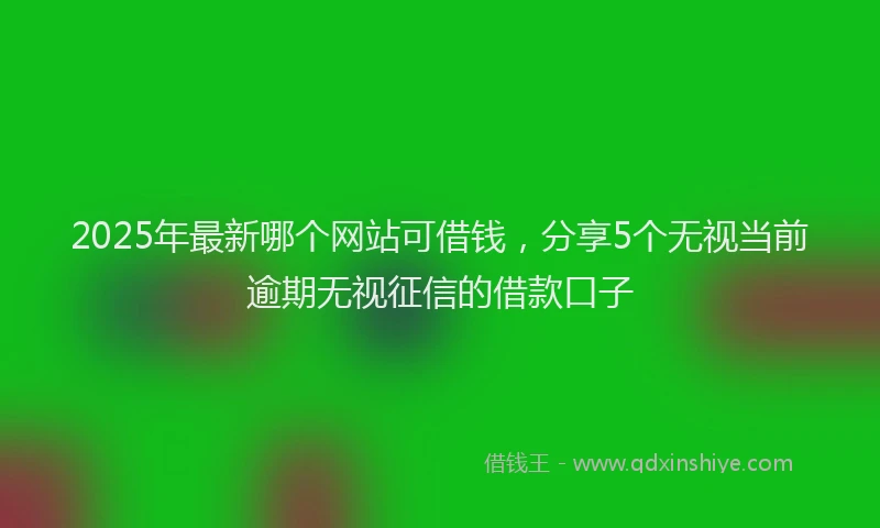 2025年最新哪个网站可借钱，分享5个无视当前逾期无视征信的借款口子