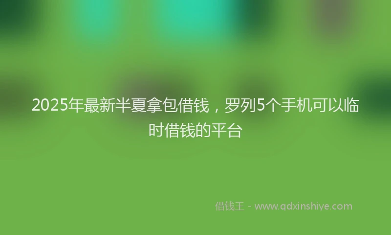 2025年最新半夏拿包借钱，罗列5个手机可以临时借钱的平台