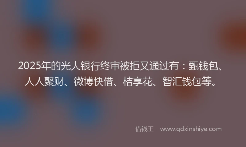 2025年的光大银行终审被拒又通过有：甄钱包、人人聚财、微博快借、桔享花、智汇钱包等。