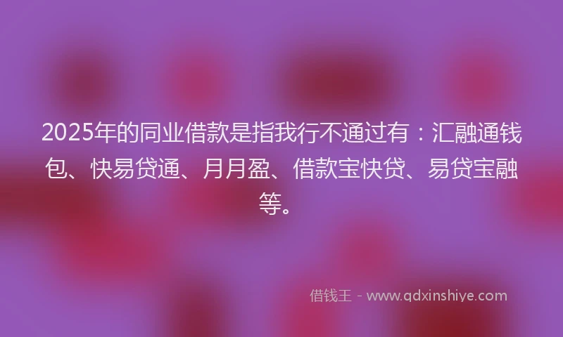 2025年的同业借款是指我行不通过有：汇融通钱包、快易贷通、月月盈、借款宝快贷、易贷宝融等。