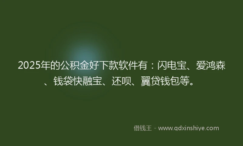 2025年的公积金好下款软件有：闪电宝、爱鸿森、钱袋快融宝、还呗、翼贷钱包等。
