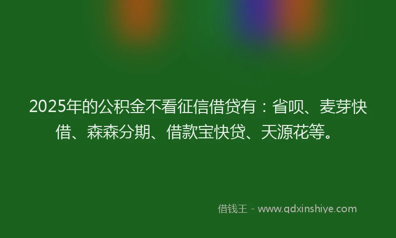 2025年的公积金不看征信借贷有：省呗、麦芽快借、森森分期、借款宝快贷、天源花等。