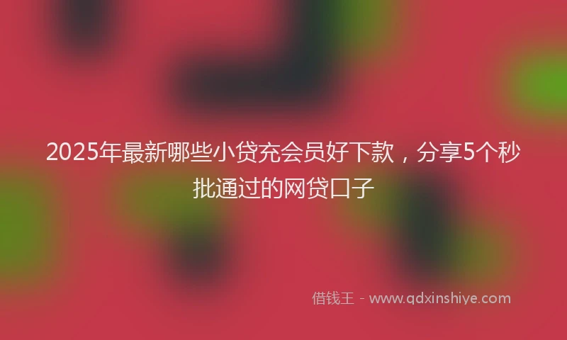2025年最新哪些小贷充会员好下款，分享5个秒批通过的网贷口子