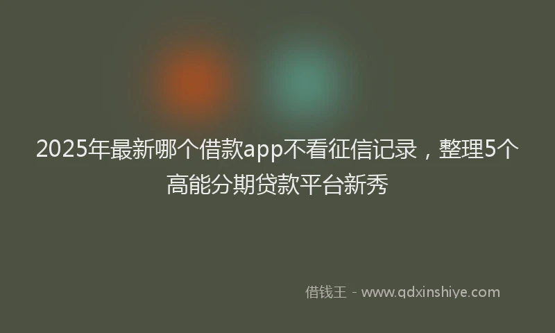 2025年最新哪个借款app不看征信记录，整理5个高能分期贷款平台新秀