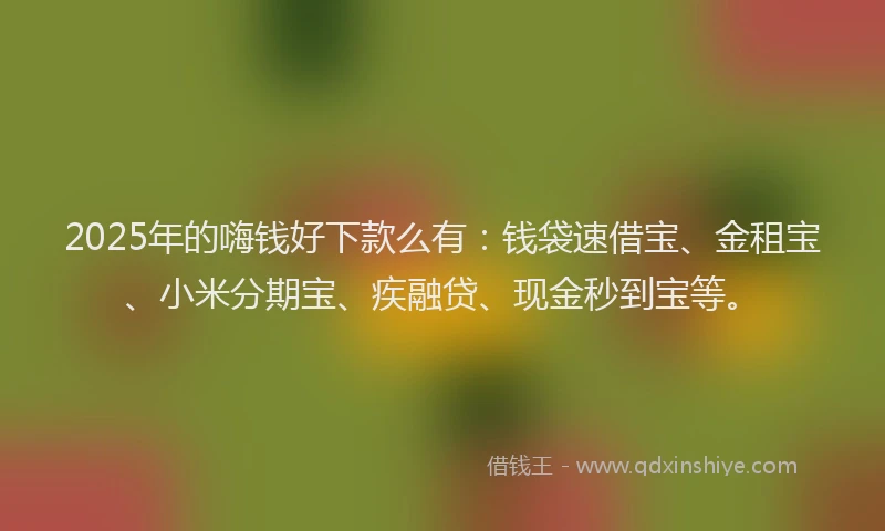 2025年的嗨钱好下款么有：钱袋速借宝、金租宝、小米分期宝、疾融贷、现金秒到宝等。