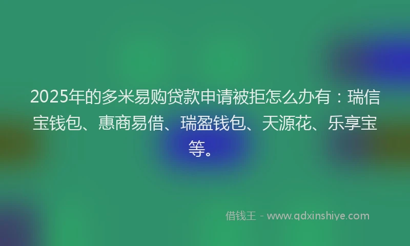 2025年的多米易购贷款申请被拒怎么办有：瑞信宝钱包、惠商易借、瑞盈钱包、天源花、乐享宝等。