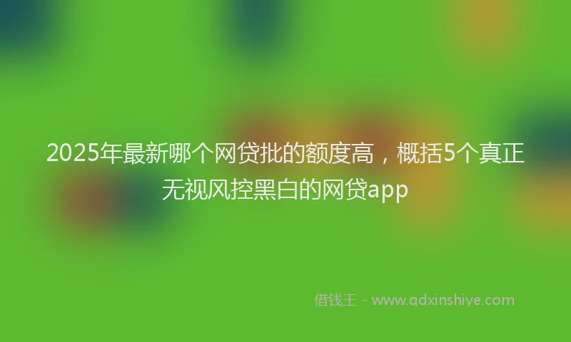 2025年最新哪个网贷批的额度高，概括5个真正无视风控黑白的网贷app