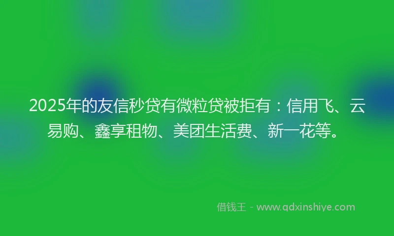 2025年的友信秒贷有微粒贷被拒有：信用飞、云易购、鑫享租物、美团生活费、新一花等。