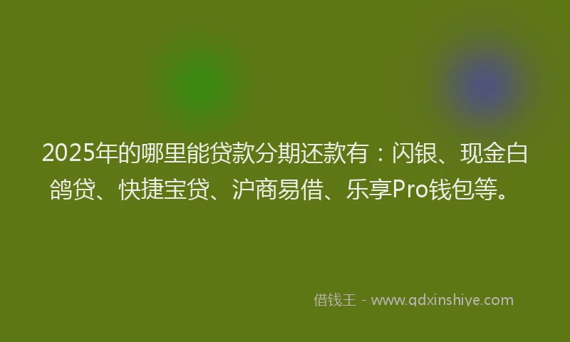2025年的哪里能贷款分期还款有：闪银、现金白鸽贷、快捷宝贷、沪商易借、乐享Pro钱包等。