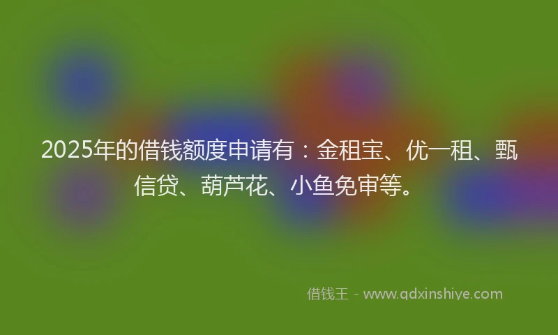 2025年的借钱额度申请有：金租宝、优一租、甄信贷、葫芦花、小鱼免审等。