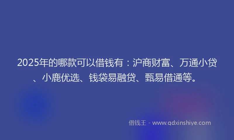 2025年的哪款可以借钱有：沪商财富、万通小贷、小鹿优选、钱袋易融贷、甄易借通等。