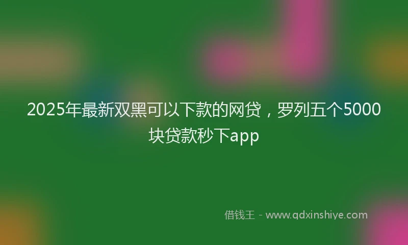 2025年最新双黑可以下款的网贷，罗列五个5000块贷款秒下app