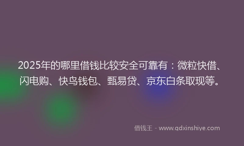 2025年的哪里借钱比较安全可靠有：微粒快借、闪电购、快鸟钱包、甄易贷、京东白条取现等。