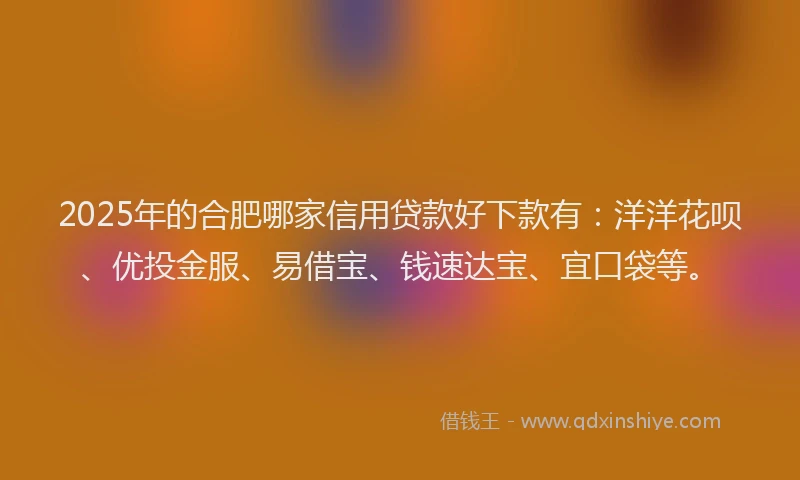 2025年的合肥哪家信用贷款好下款有：洋洋花呗、优投金服、易借宝、钱速达宝、宜口袋等。