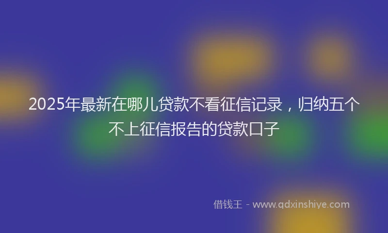 2025年最新在哪儿贷款不看征信记录，归纳五个不上征信报告的贷款口子