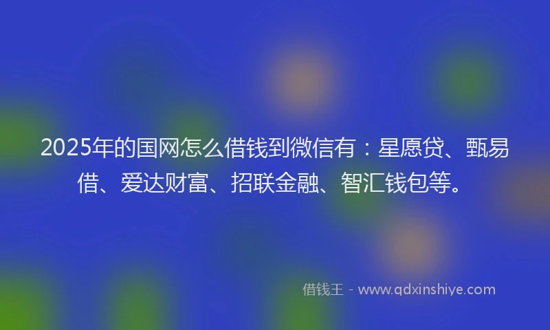 2025年的国网怎么借钱到微信有：星愿贷、甄易借、爱达财富、招联金融、智汇钱包等。