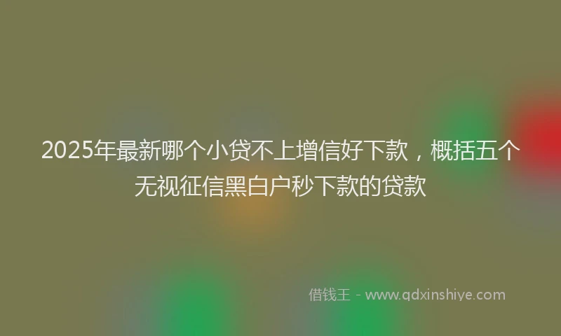 2025年最新哪个小贷不上增信好下款，概括五个无视征信黑白户秒下款的贷款