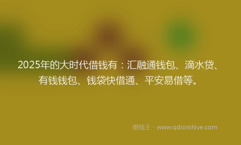 2025年的大时代借钱有：汇融通钱包、滴水贷、有钱钱包、钱袋快借通、平安易借等。