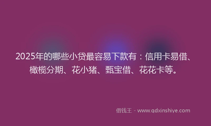 2025年的哪些小贷最容易下款有：信用卡易借、橄榄分期、花小猪、甄宝借、花花卡等。