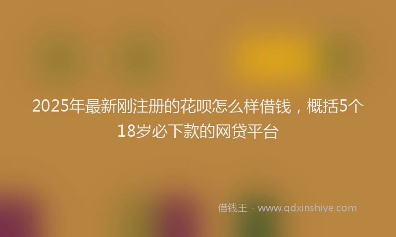 2025年最新刚注册的花呗怎么样借钱，概括5个18岁必下款的网贷平台