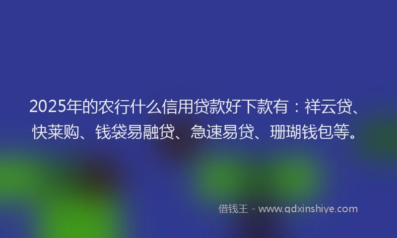 2025年的农行什么信用贷款好下款有：祥云贷、快莱购、钱袋易融贷、急速易贷、珊瑚钱包等。