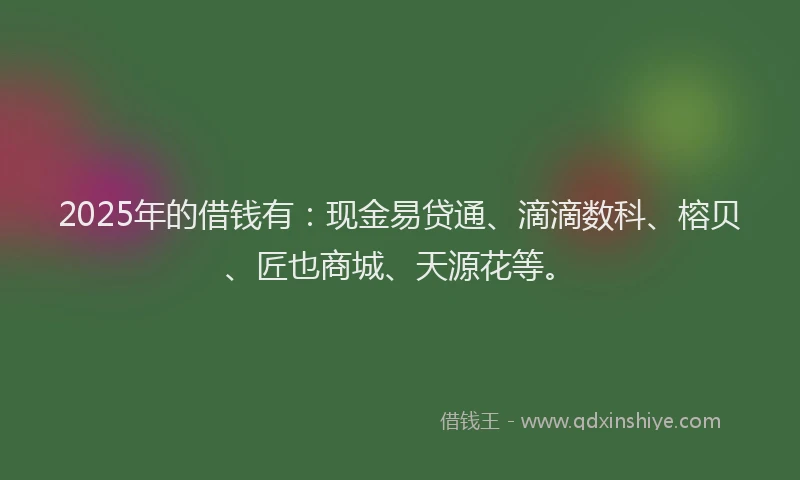 2025年的借钱有：现金易贷通、滴滴数科、榕贝、匠也商城、天源花等。