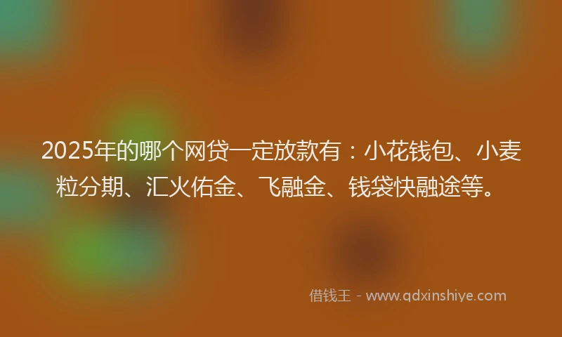 2025年的哪个网贷一定放款有：小花钱包、小麦粒分期、汇火佑金、飞融金、钱袋快融途等。