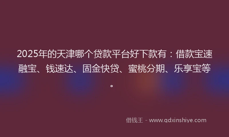 2025年的天津哪个贷款平台好下款有：借款宝速融宝、钱速达、固金快贷、蜜桃分期、乐享宝等。
