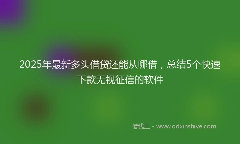 2025年最新多头借贷还能从哪借，总结5个快速下款无视征信的软件