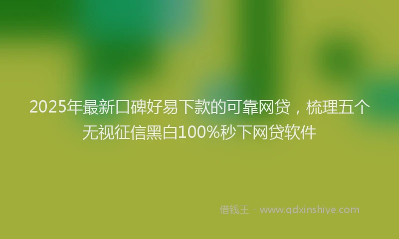 2025年最新口碑好易下款的可靠网贷，梳理五个无视征信黑白100%秒下网贷软件