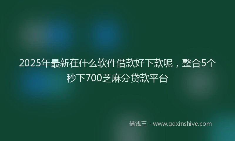 2025年最新在什么软件借款好下款呢，整合5个秒下700芝麻分贷款平台
