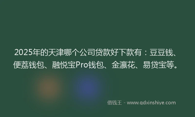 2025年的天津哪个公司贷款好下款有：豆豆钱、便荔钱包、融悦宝Pro钱包、金瀛花、易贷宝等。
