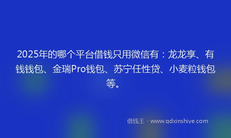 2025年的哪个平台借钱只用微信有：龙龙享、有钱钱包、金瑞Pro钱包、苏宁任性贷、小麦粒钱包等。