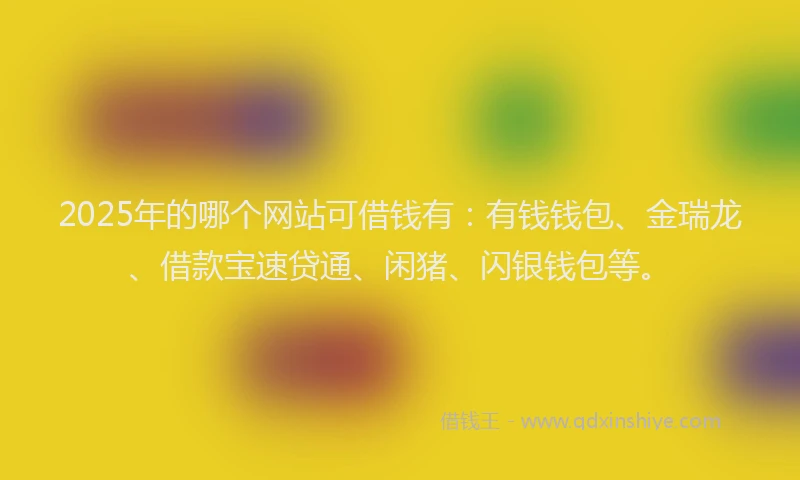 2025年的哪个网站可借钱有：有钱钱包、金瑞龙、借款宝速贷通、闲猪、闪银钱包等。