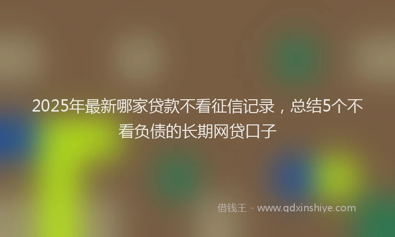2025年最新哪家贷款不看征信记录，总结5个不看负债的长期网贷口子