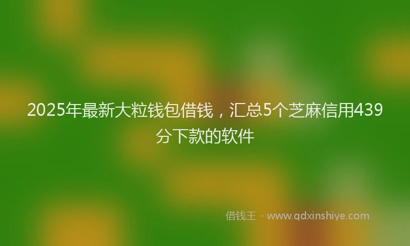 2025年最新大粒钱包借钱，汇总5个芝麻信用439分下款的软件