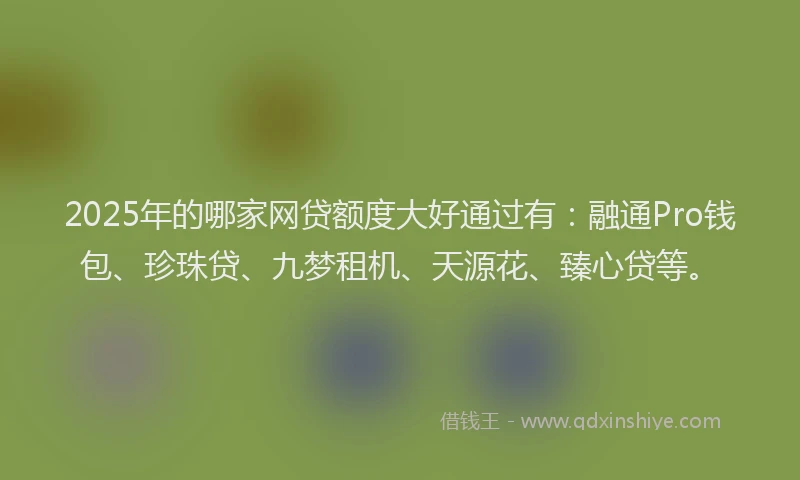 2025年的哪家网贷额度大好通过有：融通Pro钱包、珍珠贷、九梦租机、天源花、臻心贷等。