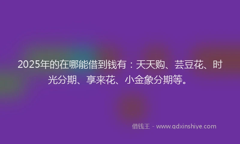 2025年的在哪能借到钱有：天天购、芸豆花、时光分期、享来花、小金象分期等。